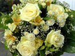 Bouquet of yellow  roses