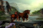 Horses in the river