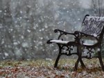 Snowy bench