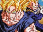 Goku & Vegeta
