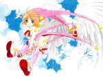 CardCaptor