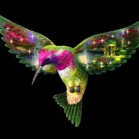 Hummingbird in flight