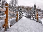 Winter walkway