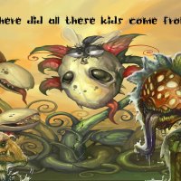 Where did  all these kids come from?