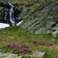 Waterfall in the mountains