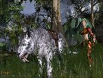Darkfall Online is supposed to appear official
