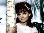 Dawn Wells01