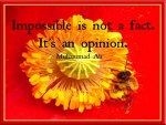Impossible is Not A Fact