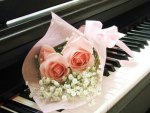 piano roses