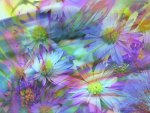 Floral Abstract pastel green and Violet