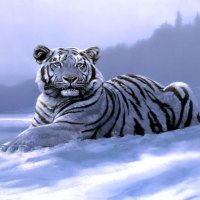 áƒ¦.Look at the Horizon.áƒ¦