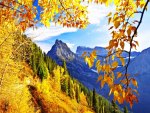 Autumn Mountain