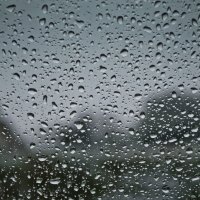 Focused Rain on a Window