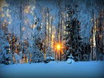 winter sunset