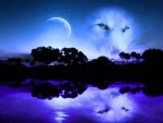 Wolf Blue Moon