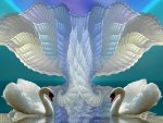 Swans and Fractal