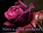 Have a great weekend