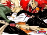 Renji VS Ichigo