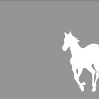 White Pony