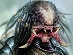 Predador