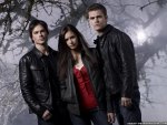 the-vampire diaries