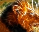 lion 3d