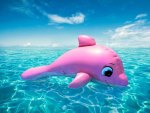 Pink Dolphin 