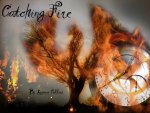 Catching Fire
