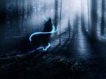 Howling In The Woods