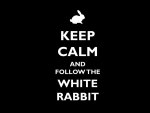 White Rabbit