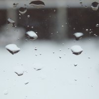 Raindrops on the window
