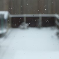 Snowflakes on the window