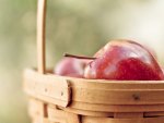Apple Basket
