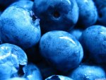 Blueberries Macro