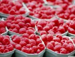 Raspberry Packages