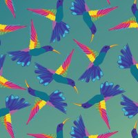 hummingbird_kaleidoscope