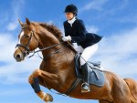 Jockey horse jump