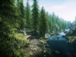 Skyrim: Forest