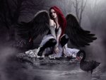 Black Swan Angel