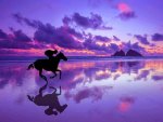 Galloping reflections