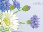 Wild Flowers Blue and White
