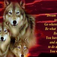 my favorite wolf wallpaers