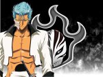 Grimmjow Jeagerjaques