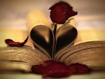 The Book Of Love