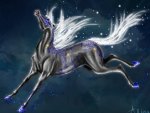 black-blue fantasy horse drawing~