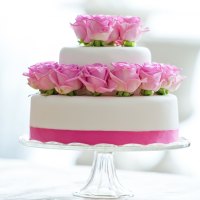 à¹‘~â™¥à¹‘ Ring of Roses à¹‘â™¥~à¹‘