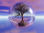 Tree in a bubble