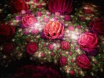 Fractal Rose Field