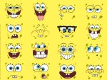 spogne bob faces