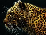 Fractal Cheetah